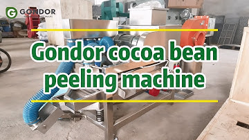 Efficient Cocoa Bean Peeling Machine | Pro Cocoa Processing 🌰#cocoabeans #peelingmachine #cocoanibs