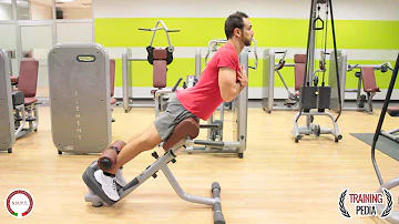 Come sviluppare i muscoli lombari?