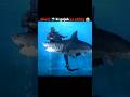 10 Arab Pani ke bund me ek bund khoon ka sungh leta hai shark 🦈 #shark #animals #facts #shorts
