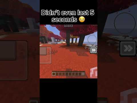 Didn’t last even 10 sec…🥀 # #minecraft #minecraftfunny #shorts #short #funny