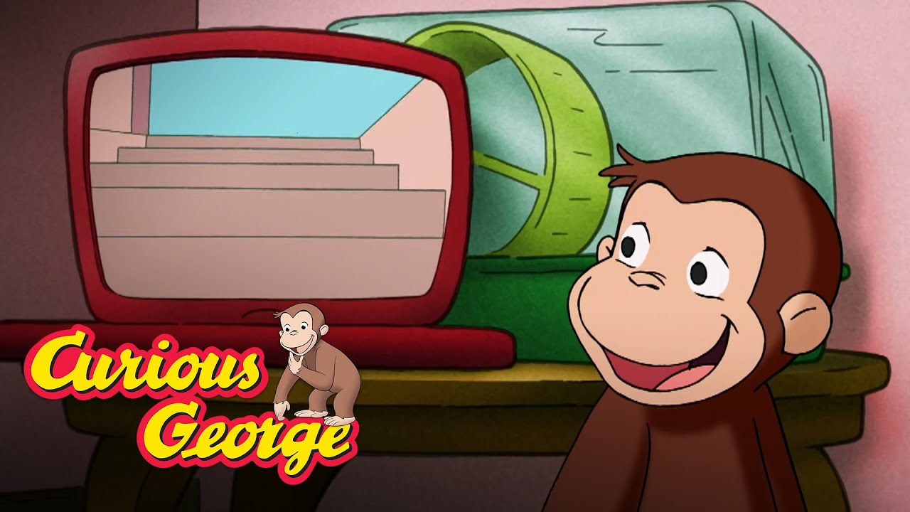Curious George 🐵  Hamster Cam 🐵  Kids Cartoon 🐵  Kids Movies 🐵 Videos for Kids