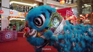 Acrobatic Lion Dance - Barongsai 2021 Chinese New Year! [4K Binaural]