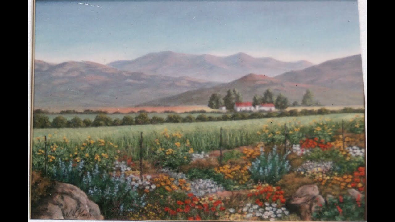 615   Wheat Fields in the Heart of Namaqualand