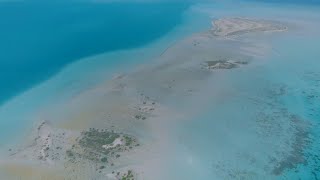 Our Land Our Future︱أرضنا مستقبلنا