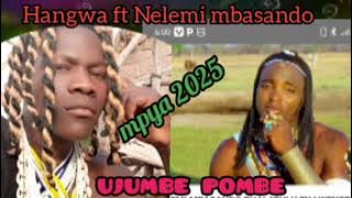 Hangwa ft nelemi mbasado song pombe mpya2025