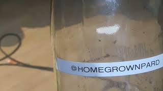 Tirzah - Hive Mind (Speakers Corner Quartet Remix) [Official Audio]