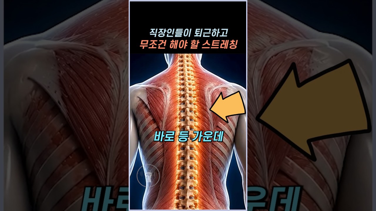직장인들이 퇴근하고 무조건 해야 할 스트레칭