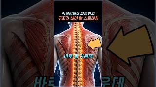 직장인들이 퇴근하고 무조건 해야 할 스트레칭