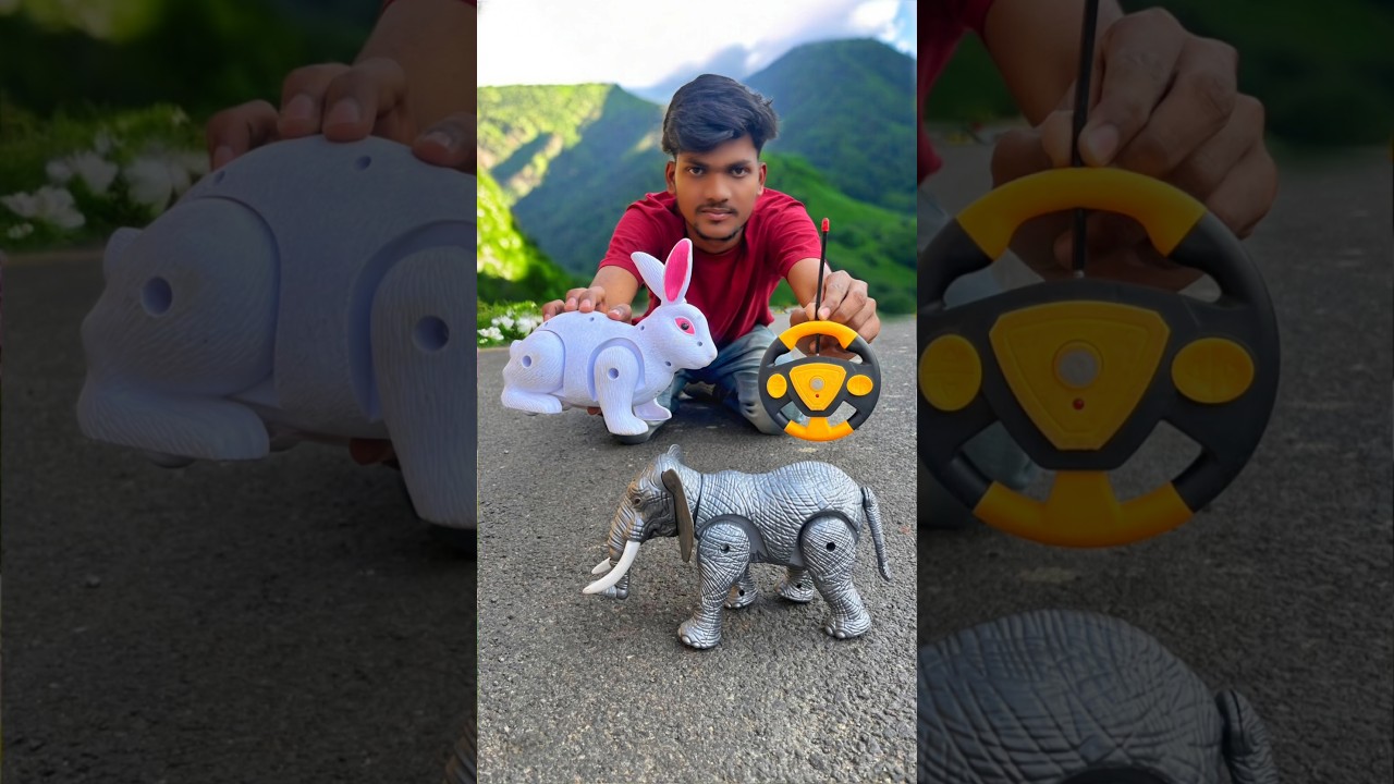 Dekho 1 Ta Elephant 🐘 R Rc Rabbit 🥹