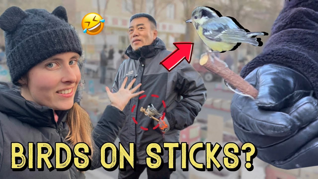 THE INNER MONGOLIA EXPERIENCE 🐑 Exploring China's Northwest Frontier 内蒙冬天一日游，看看我能挖出多少好玩的东西来！