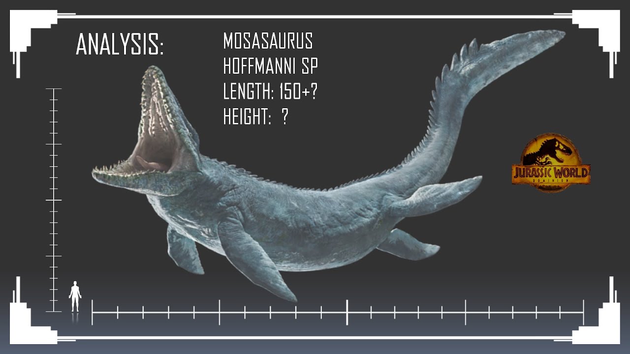 A Kaiju sized Dinosaur - JW Dominion Mosasaurus Size 2022
