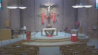 Palm Sunday of the Passon of the Lord - 11am