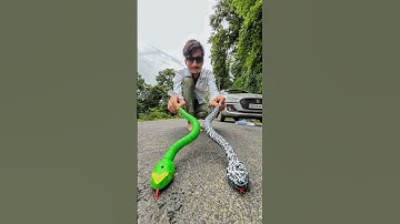 Big 2 Remote Control Snake Unboxing 🐍