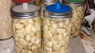 Preserving Garlic for Long Term Storage