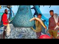 💥Epic Deep Sea Fishing Adventure!!️ | Ton’s Of Mackerel Fish Caught😲Trawler Fishing Mangalore,Pamban😱