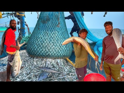 💥Epic Deep Sea Fishing Adventure‼️ | Ton’s Of Mackerel Fish Caught😲Trawler Fishing Mangalore,Pamban😱