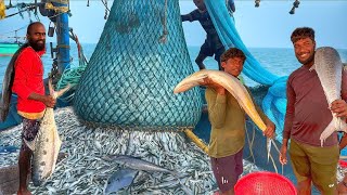 💥Epic Deep Sea Fishing Adventure‼️ | Ton’s Of Mackerel Fish Caught😲Trawler Fishing Mangalore,Pamban😱