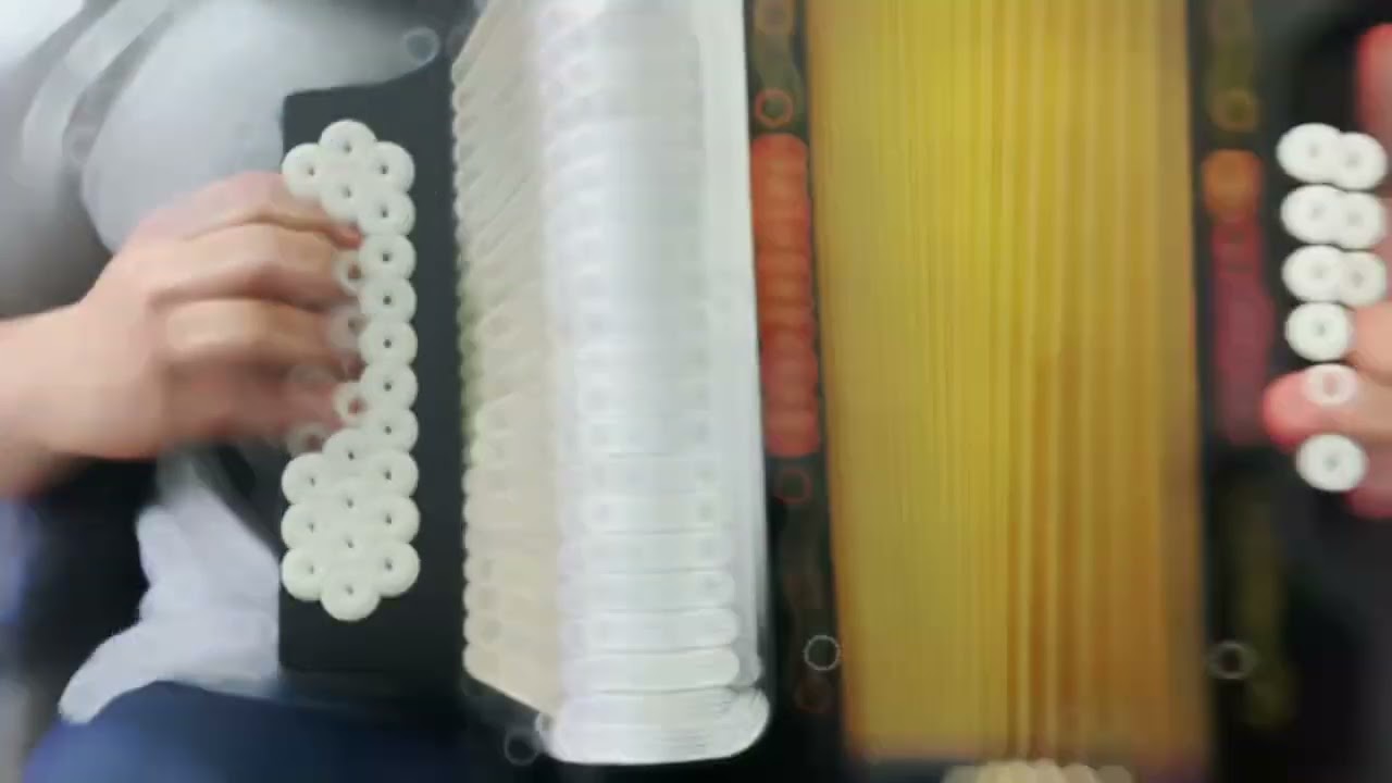 10 Canciones grabadas en acordeón 5 letras | Carlos Rey Music