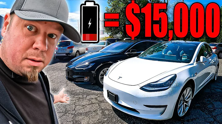 No One Is Telling You The TRUTH ABOUT TESLA, So I Have To