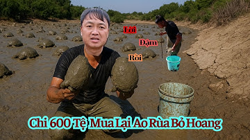 Chi 600 Tệ Mua Ao Rùa Bỏ Hoang – Không Ngờ Rùa Còn Rất Nhiều, Chuyến Này Lời To