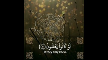 مثل الذين اتخذوا من دون الله أولياء كمثل العنكبوت بصوت القارئ فهد واصل المطيري