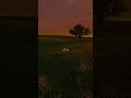قرَأن ڪَريم @zozo-s3 @e.5t_08 @8___vv.o وليلو.. اجَݛݛ لي ولَهم 🫂🤲🏿 اكسبلور#لايك#متابعة