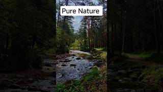 Pure Nature #nature #naturaleza #relaxing #relax
