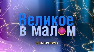 Великое В Малом. Физика Макро И Микромира. 03 Августа 2019.