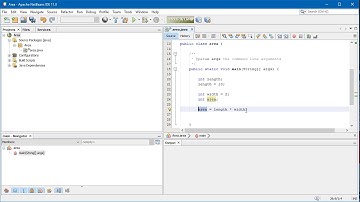 Netbeans   Variables and data types