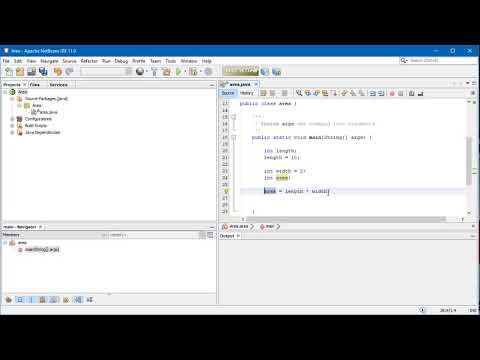 Netbeans   Variables and data types