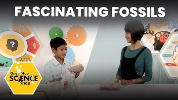 Fascinating Fossils | One Stop Science Shop (S1E15) | FULL EPISODE | Da Vinci