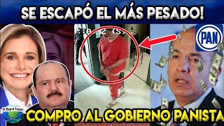 LA PEOR PANISTA! LA CORREN A P4TADAS DE CHIHUAHUA! LOCALIZAN 38 REST0S, TIEMBLA MARU CAMPOS!
