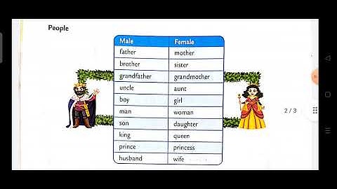 Class -1, English Grammar, Ch -5, He or She