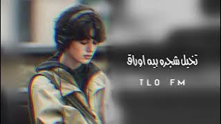 عراقي تخيل شجره بيه اوراق - بطئ