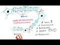 What is mld metachromatic leukodystrophy explained to all