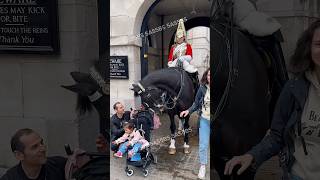 Meet The Star – Adventures Of A Friendly King’s Guard Horse 🐴✨