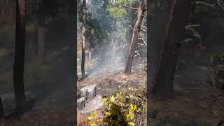 3 arson fires 8acres total #wildlandfirefighter #forestfire #arson #Wildfire #firefighter