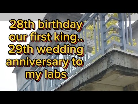 double celebration at JANAYA'S farm and resort Gabaldon NE - YouTube