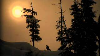 The B Beautiful teaser - TransWorld SNOWboarding