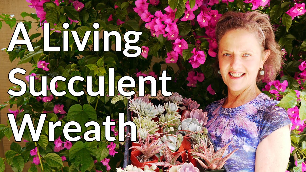 how to make a succulent wreath Easy Steps To Making A Living Succulent Wreath