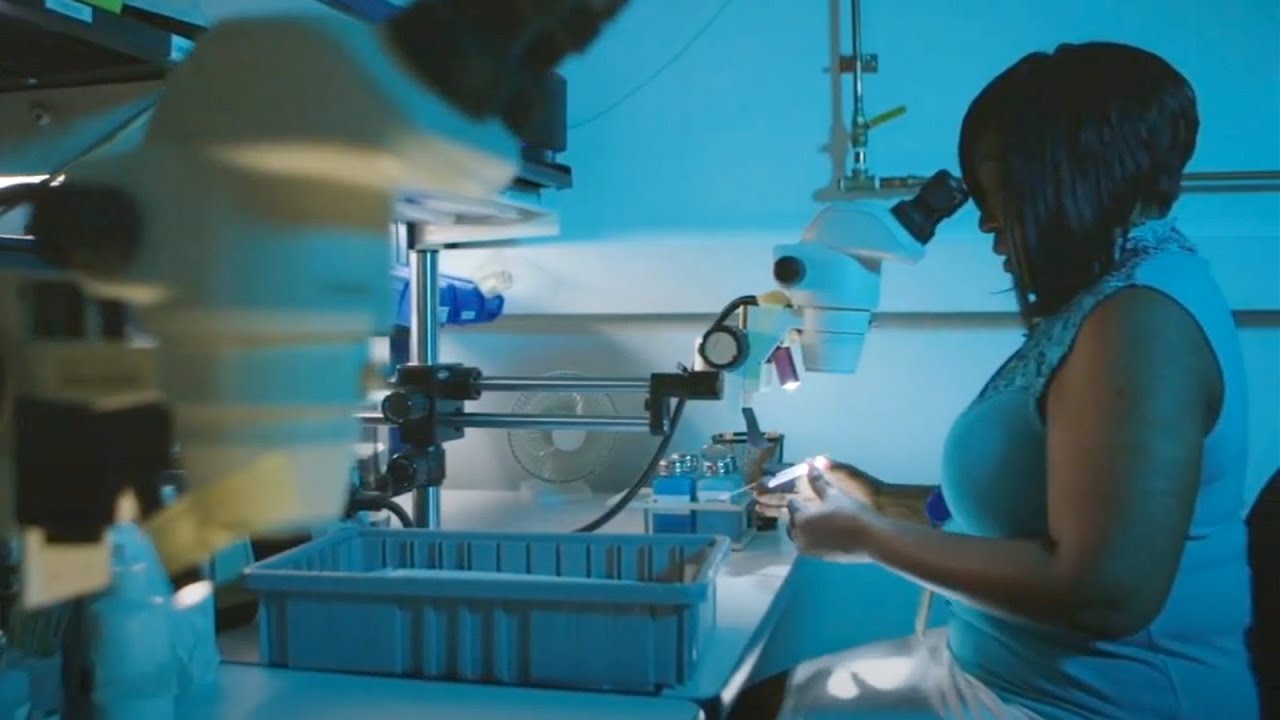 Northrop Grumman SYNOPTICS Recruiting