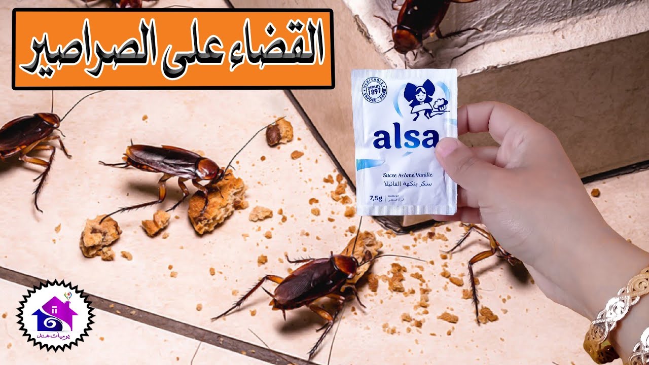 طرد الصراصير - طرق بسيطة للتخلص من الصراصير نهائيا💪جربها بنفسك