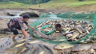 How to catch giant river fish to sell, Daily life - Triệu Văn Tính