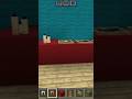 Mall hacks in minecraft #minecraft