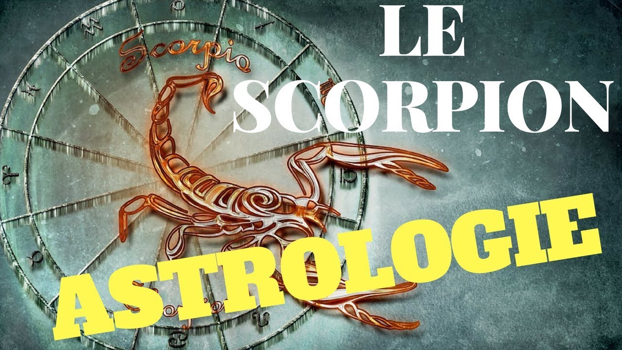 8 Le Scorpion [ASTROLOGIE] YouTube