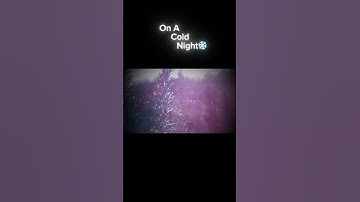 sadistic city Revue new song “On A Cold Night” out now!! #japanesemusic  #xmas #jpop