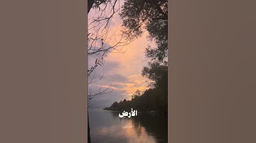 القارئ محمد صديق المنشاوي / سورة القصص #اكسبلور #quranexplorer #quran #explore #اجر #القران_الكريم