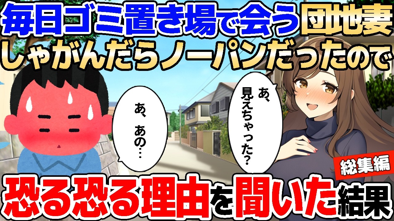 【2ch馴れ初め】毎日ゴミ置き場で会う美人な団地妻、しゃがんだらノー〇ンなのが見えてしまい恐る恐る理由を聞いてみた結果【ゆっくり解説】【作業用/総集編】