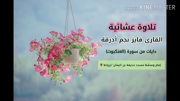 مقتطف من صلاة العشاء للقارئ فايز نجم أدرقة 🇱🇾