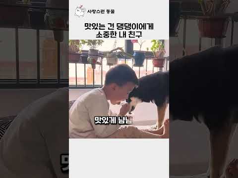 맛있는 건 댕댕이 주고...형아는 뚜껑이 더 맛나 thumbnail